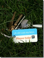 lost-keys-in-grass